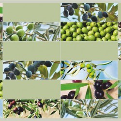 ПАНЕЛЬ ПВХ ВЕТВИ ОЛИВЫ (GRACE)