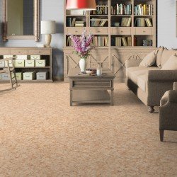 Линолеум МОДА БЕЖЕВЫЙ-121602 2,2/0,5 (TARKETT)