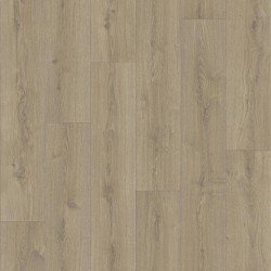 Линолеум PRAKTIKA BRUNO-1 2,5/0,15 (TARKETT)