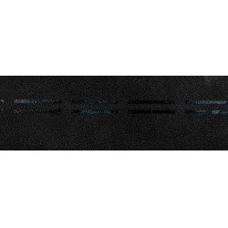 КОНЬКОВО-КАРНИЗНАЯ ЧЕРЕПИЦА ЧЕРНАЯ DOCKE EURASIA