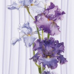 ПАНЕЛЬ ПВХ ИРИС-1 2,7м. (ДЕКОРУСТ)