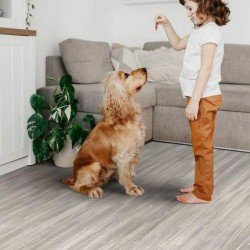 Линолеум GLORY MODEST-1 3.3/0.3 (IDEAL)