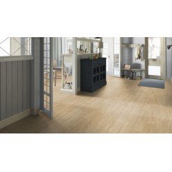 Линолеум DELTA OSTIN-1M 2,5/0,15 (TARKETT-СИНТЕРОС)